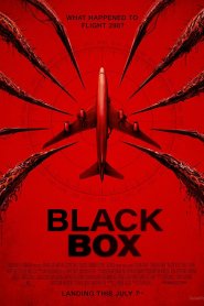 Black Box: Vuelo 298 (2026) Online HD en Español